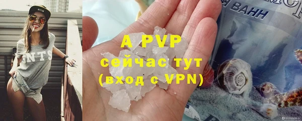 мескалин Богданович