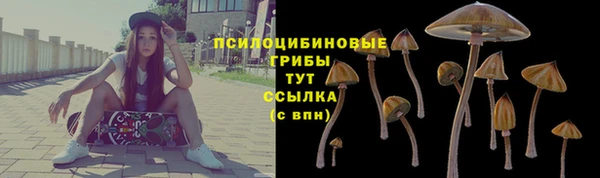 сатива Богородицк