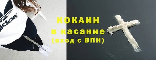 сатива Богородицк