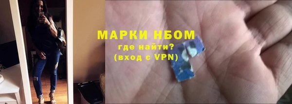 сатива Богородицк