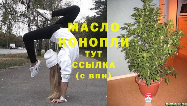 сатива Богородицк