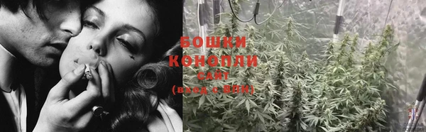 мескалин Богданович