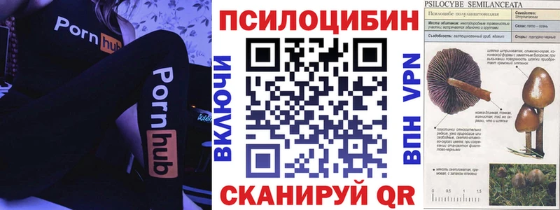 Псилоцибиновые грибы Cubensis  кракен tor  Козьмодемьянск 